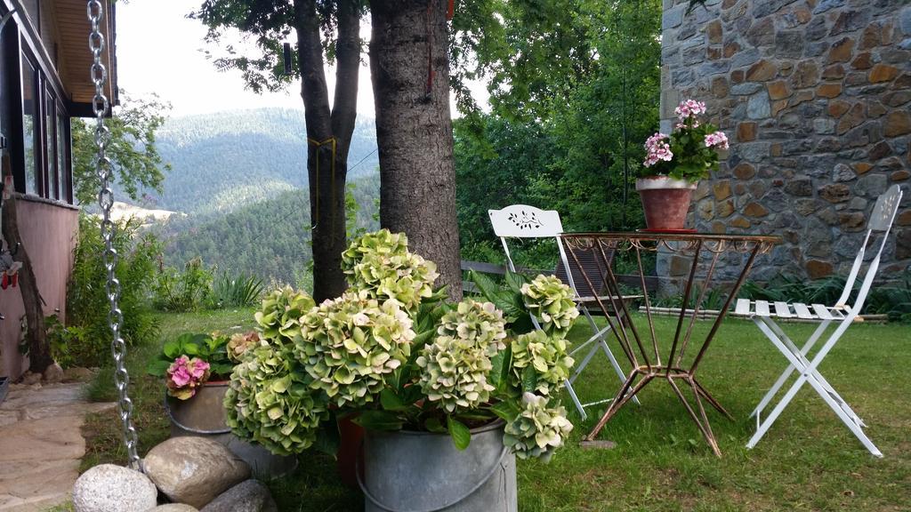 Hostel Xalet Refugi Pere Carne La Molina  Zewnętrze zdjęcie