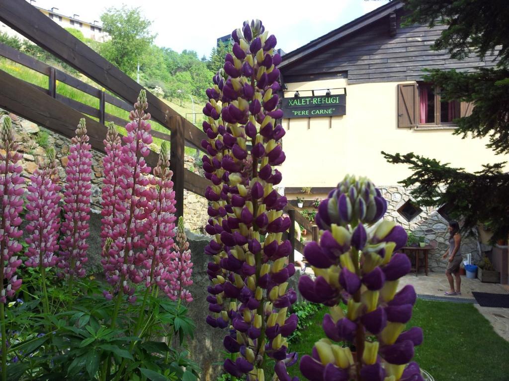 Hostel Xalet Refugi Pere Carne La Molina  Zewnętrze zdjęcie