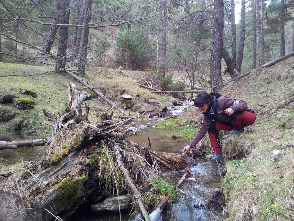 Hostel Xalet Refugi Pere Carne La Molina  Zewnętrze zdjęcie