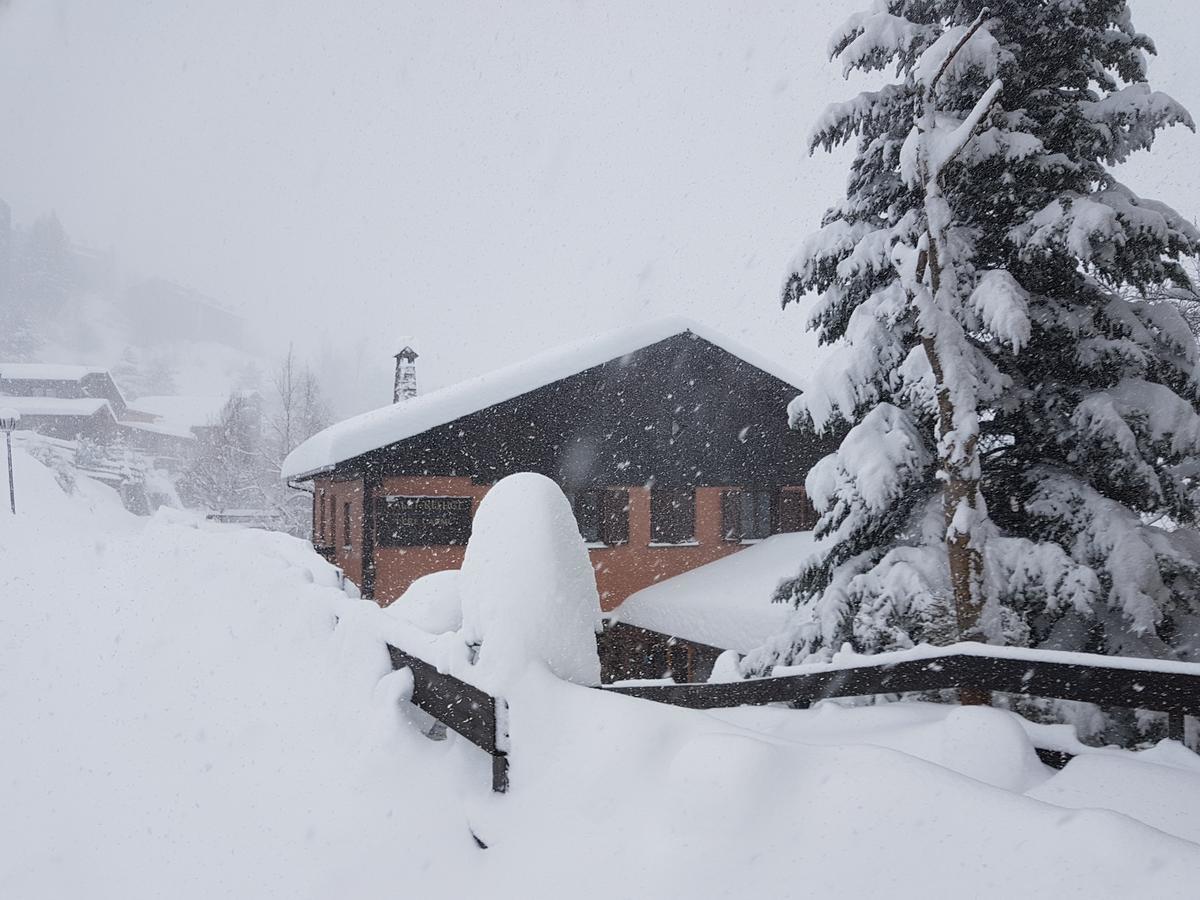 Hostel Xalet Refugi Pere Carne La Molina  Zewnętrze zdjęcie